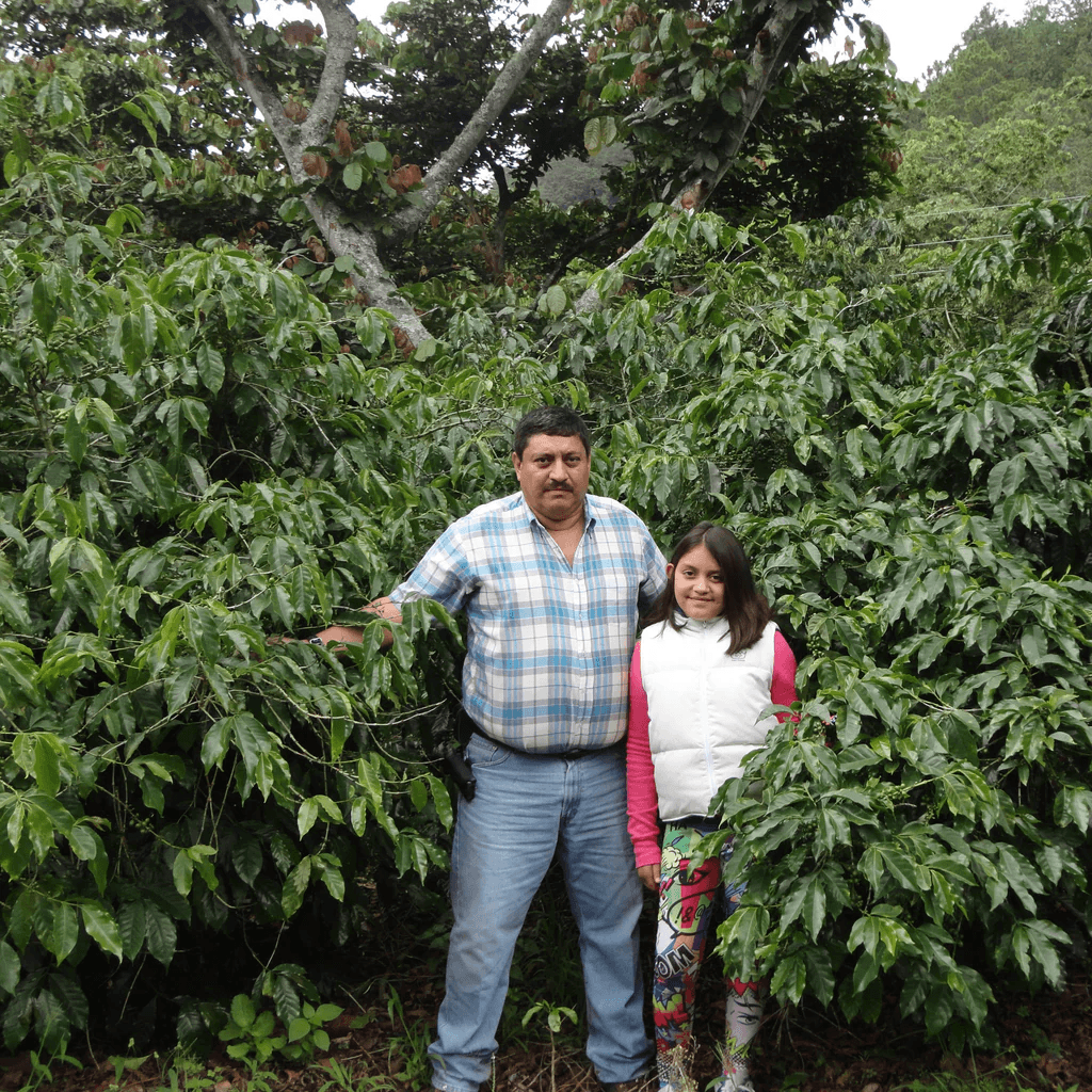 Image of La Colina Farm - Chimaltenango