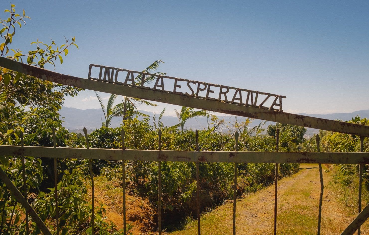 Image of Finca La Esperanza