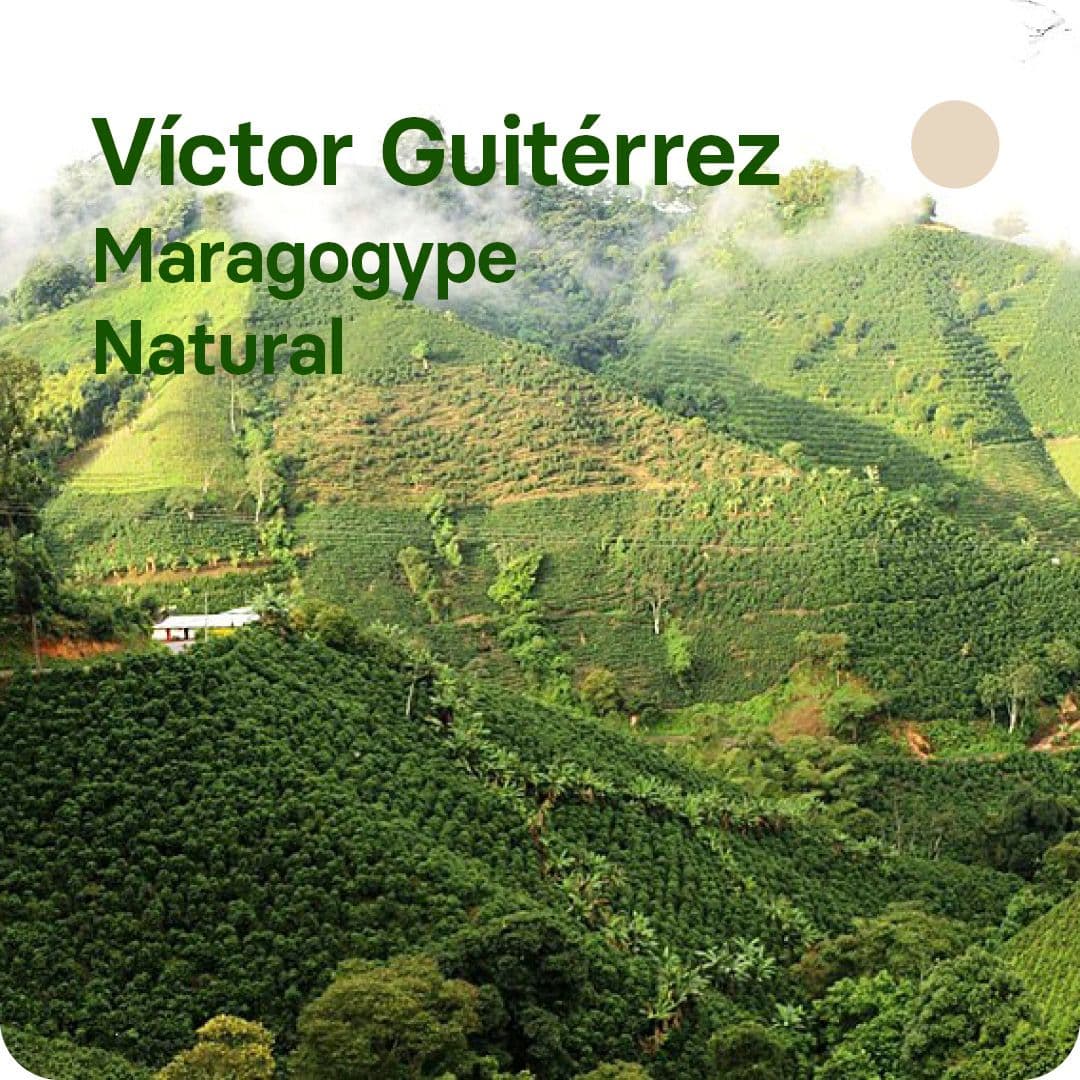 Image of Victor Gutierrez Colombia