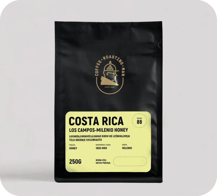 Image of Costa Rica Milenio