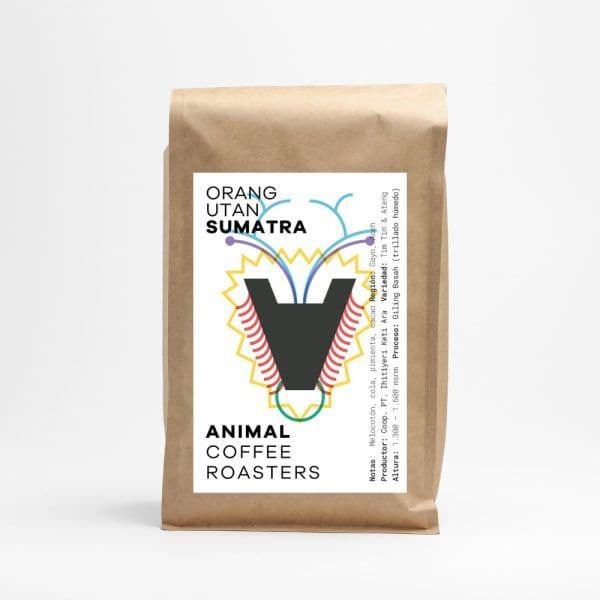 Image of Sumatra Orang Utan