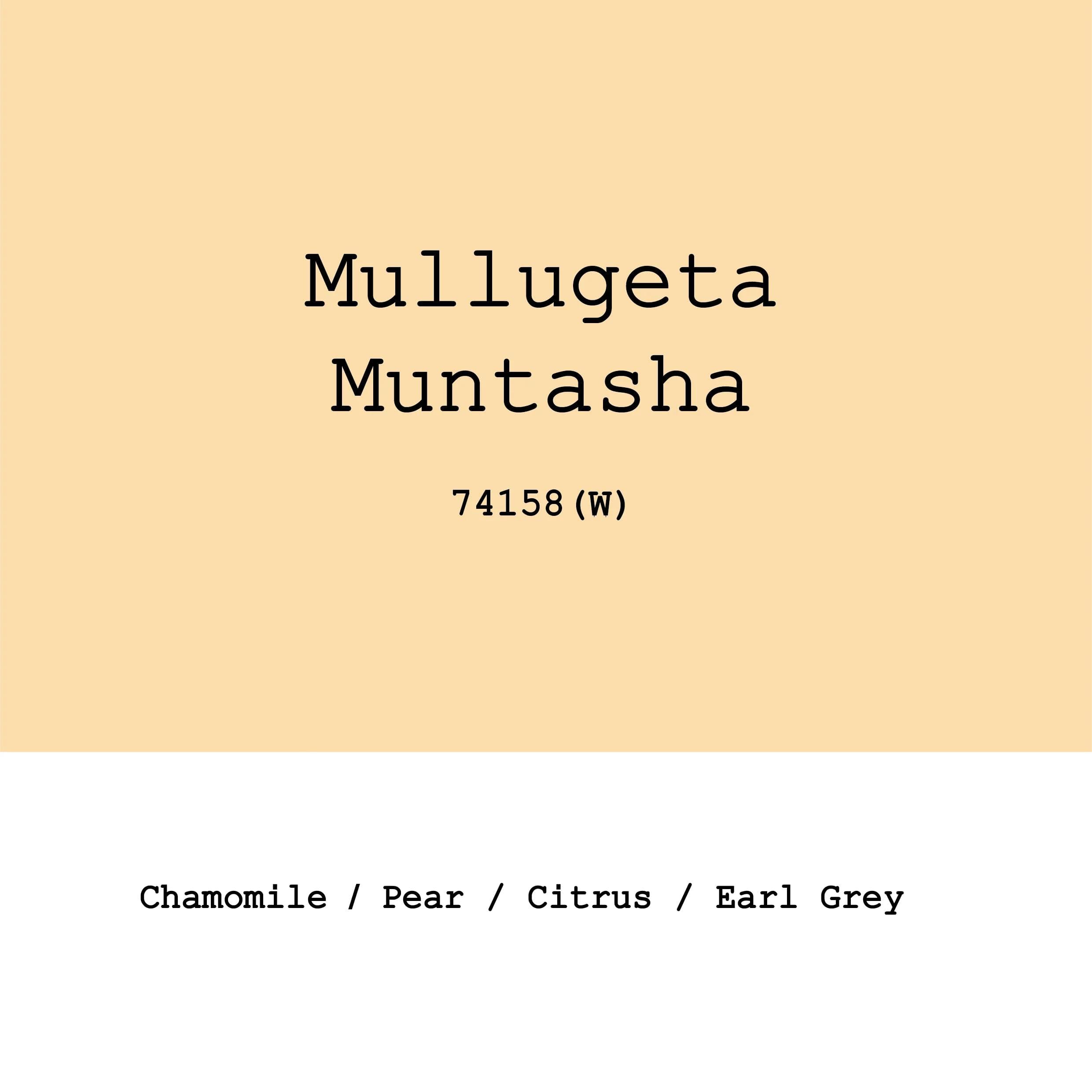 Image of Ethiopia Arbegona Sidama Mullugeta Muntasha 74158 Washed