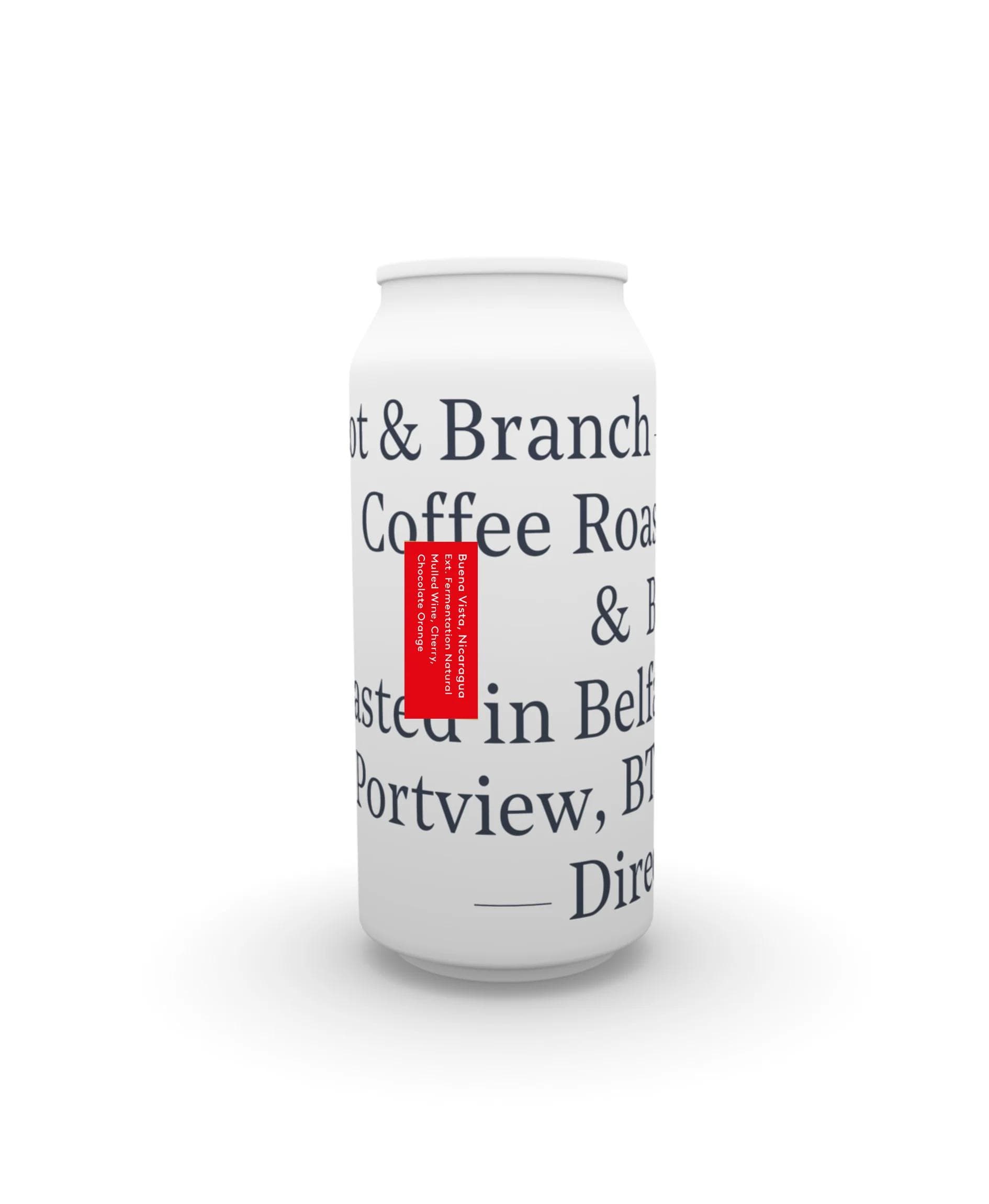 Image of Buena Vista Nicaragua