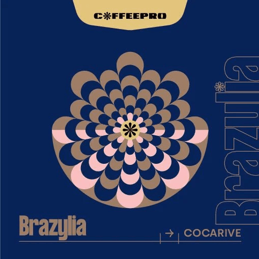 Image of Brazil Cocarive