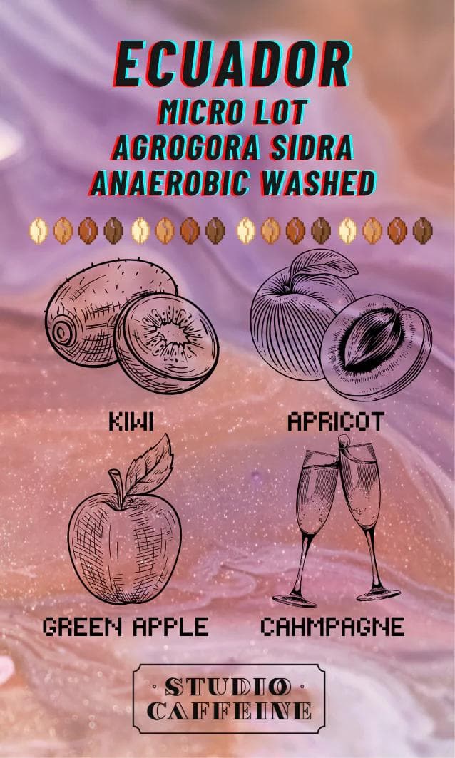 Image of Ecuador Loja Olmedo Agrogora Sidra Anaerobic Washed