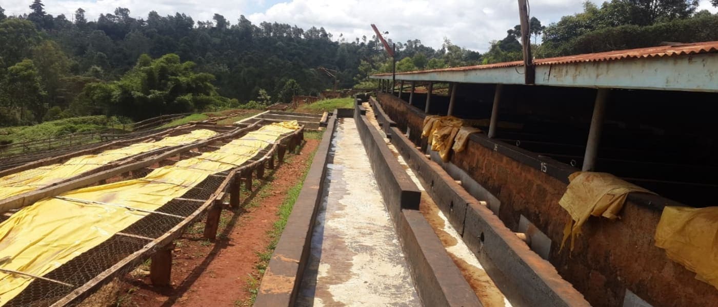 Image of Kenya Handege