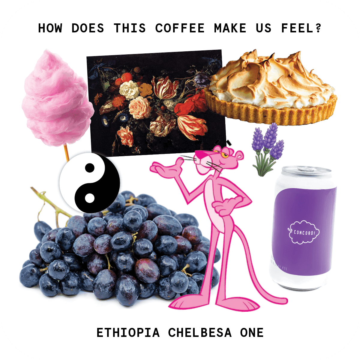 Image of Ethiopia Chelbesa One