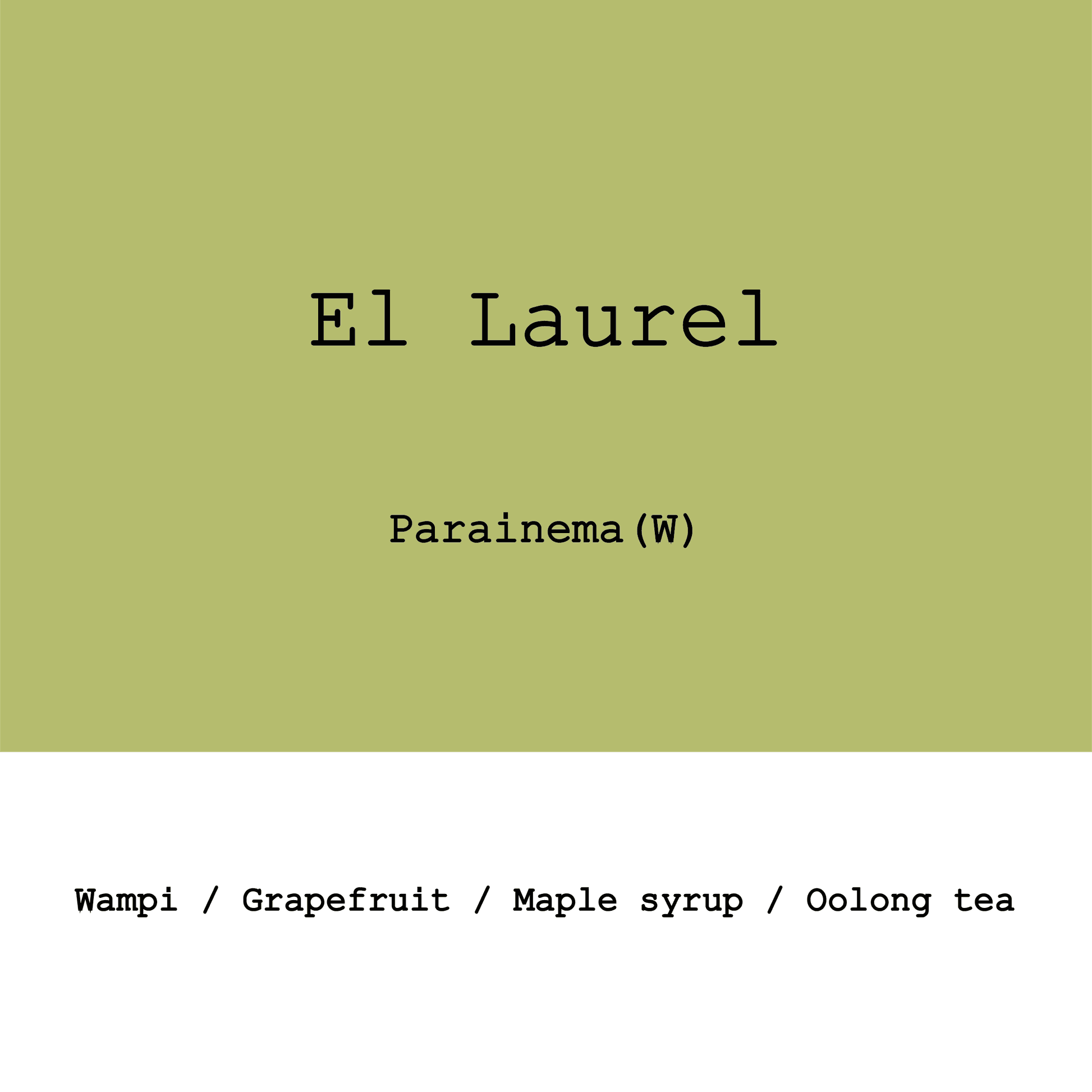 Image of New Crop Honduras El Laurel Parainema Washed