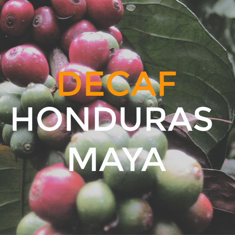 Image of Decaf Honduras Maya Royal Select