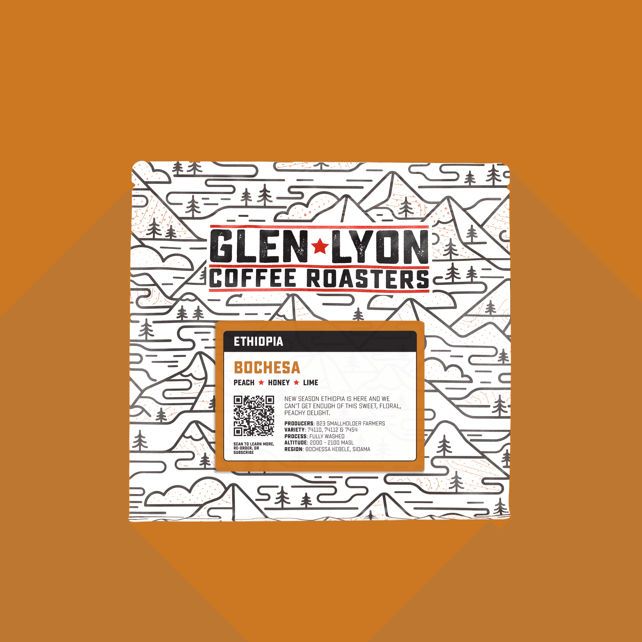 Image of Ethiopia Bochesa