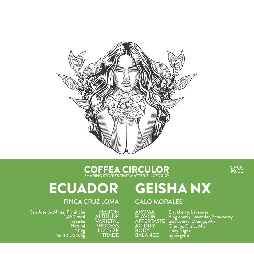 Image of ECUADOR Galo Geisha Natural NX