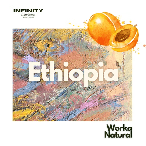 Image of Ethiopia Worka Natural