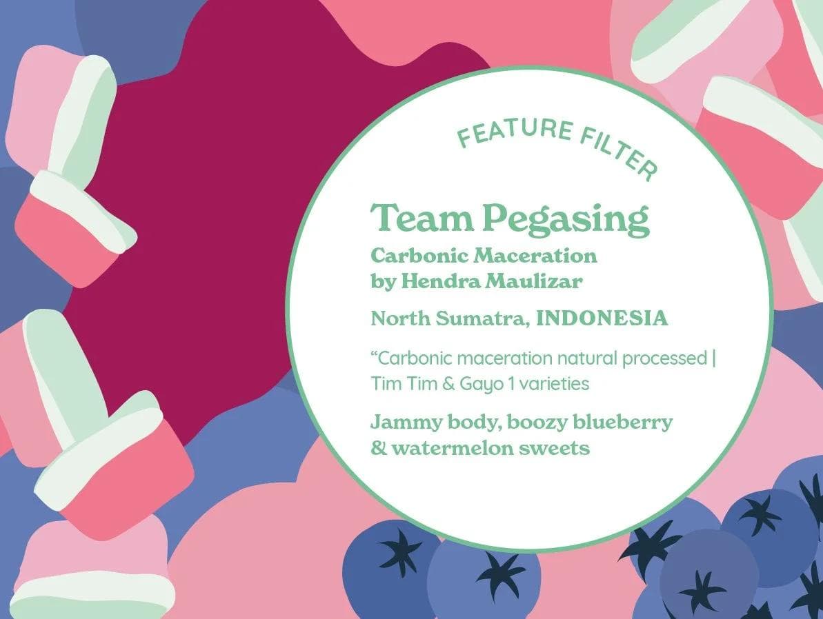 Image of Team Pegasing Carbonic Maceration Natural