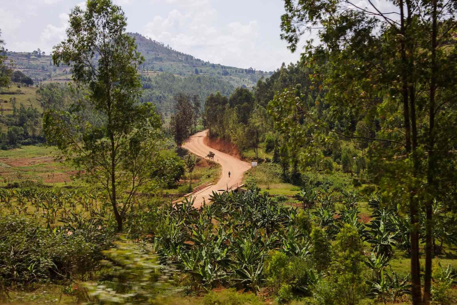 Image of Rwanda Philippe Sinoyobye