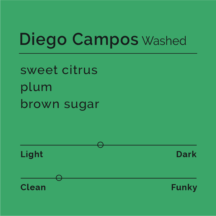 Image of Diego Campos - Washed