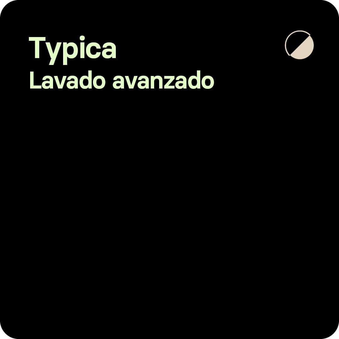 Image of Typica Colombia