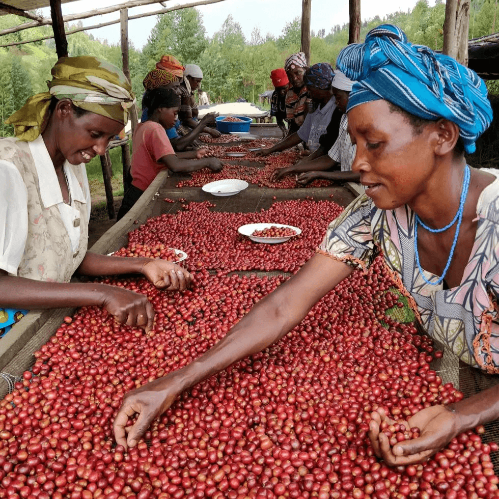 Image of Muganza Natural - Nyamagabe