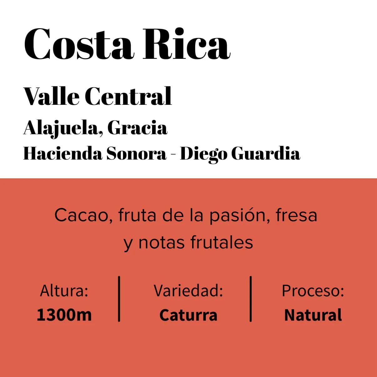 Image of Costa Rica - Central Valley - Hacienda Sonora - Caturra Natural