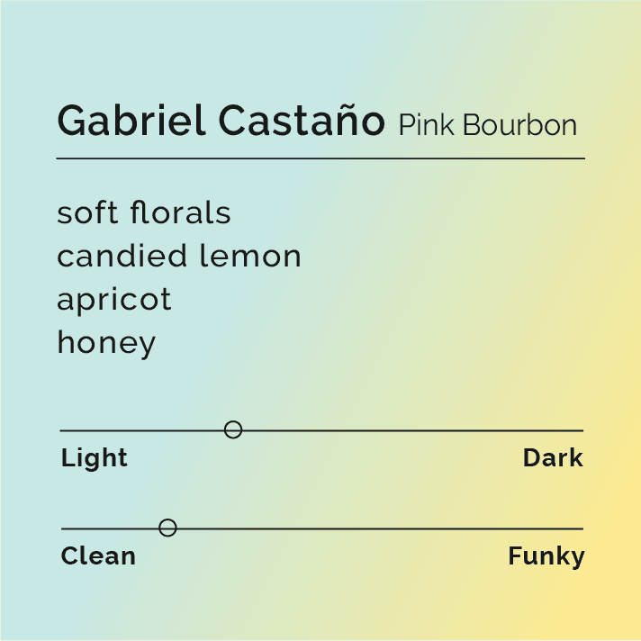 Image of Gabriel Castaño - Pink Bourbon