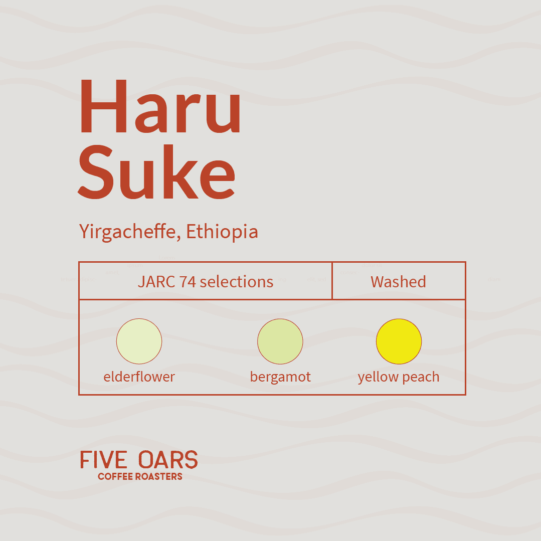 Image of Haru Suke