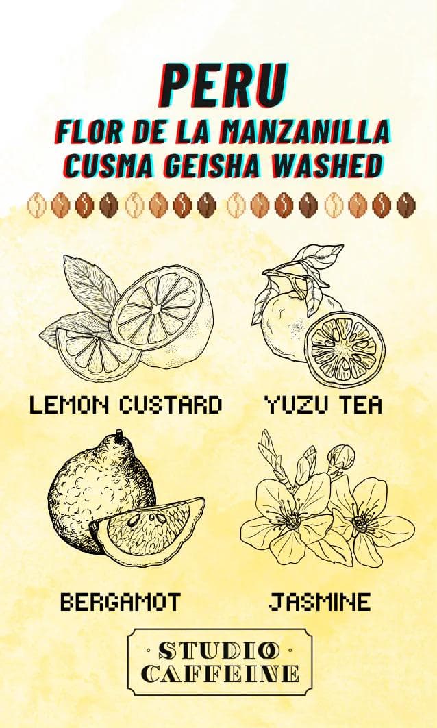 Image of Peru Cajamarca Jaen Flor de la Manzanilla Cusma Ruiz Magno Geisha Washed