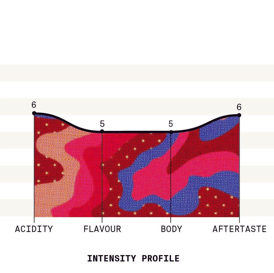 Image of Ethiopia Ocholo Bedecho