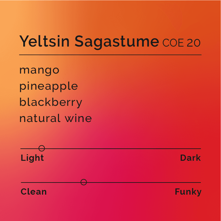 Image of Yeltsin Sagastume - COE 20