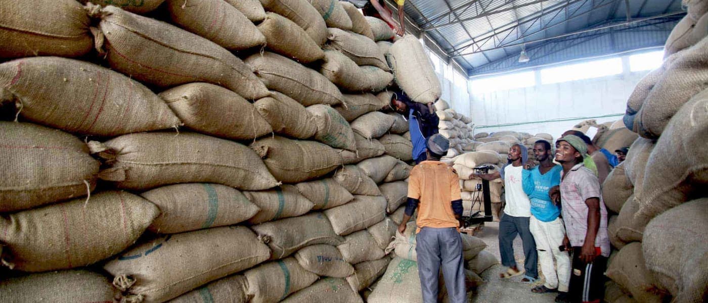 Image of Ethiopia Wolichu Wachu