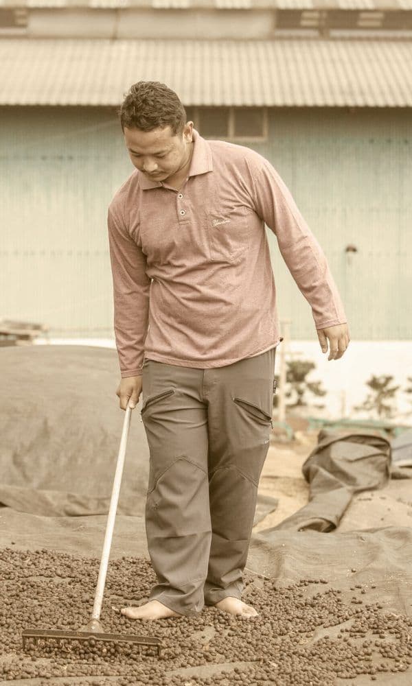 Image of Frinsa Sarapan