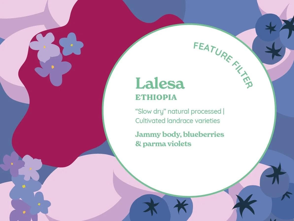 Image of Lalesa Slow Dry Natural