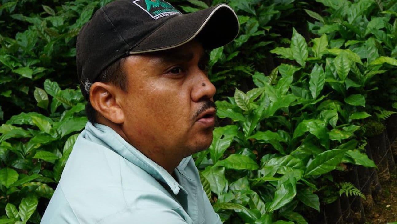 Image of Triunfo Verde, San Ramon & Boca Negra