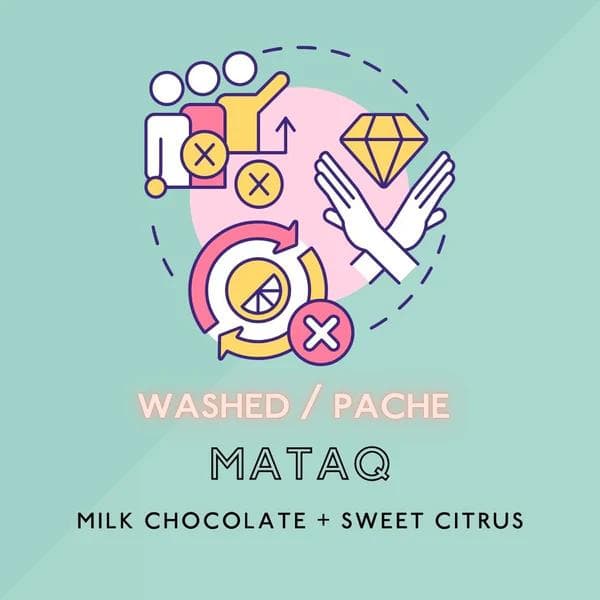 Image of MATAQ: Light Roast (SP)