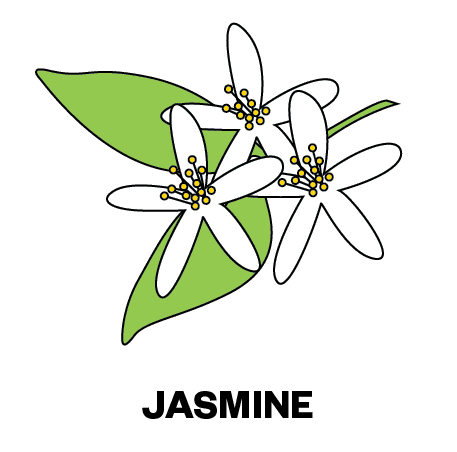 Image of Ethiopia Banko Gotiti