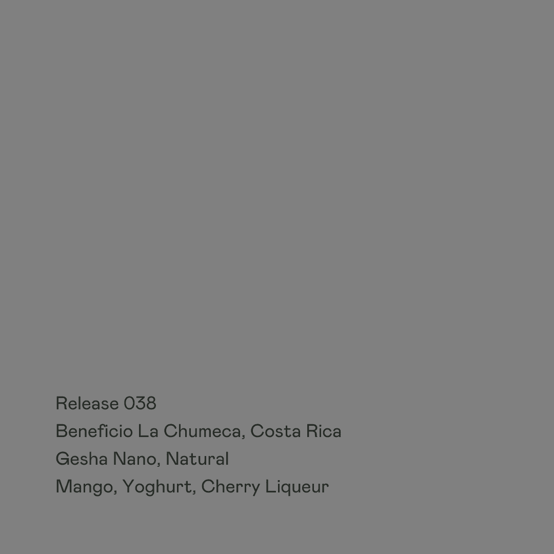 Image of Release 038 - Beneficio La Chumeca Gesha Nano Natural
