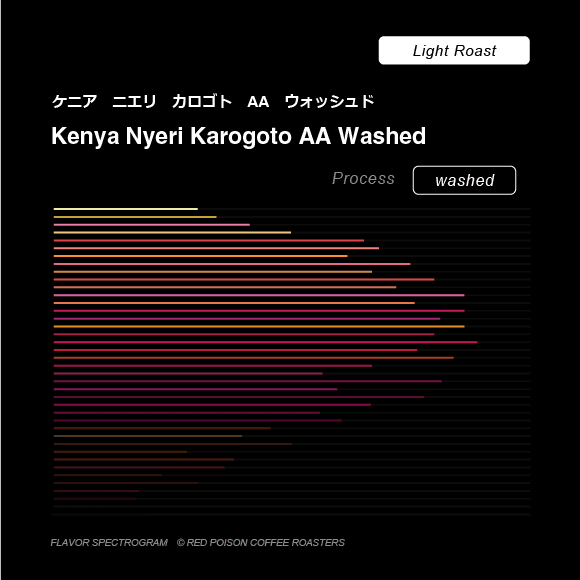 Image of Kenya Nyeri Karogoto AA Washed Light Roast