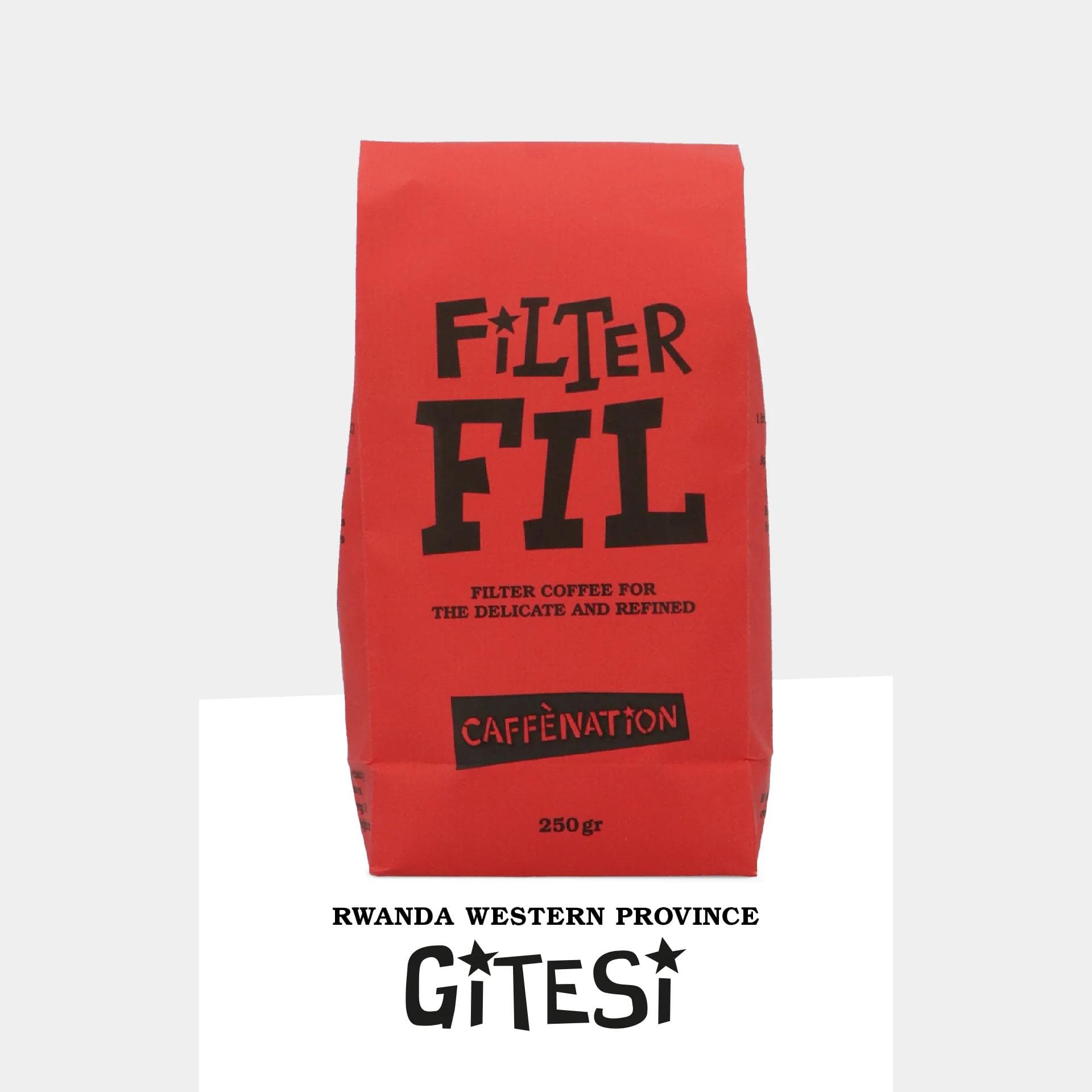 Image of FILTER - Rwanda Western Province GITESI