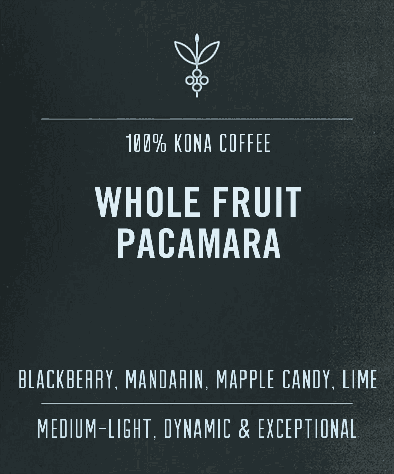 Image of  Whole Fruit Pacamara