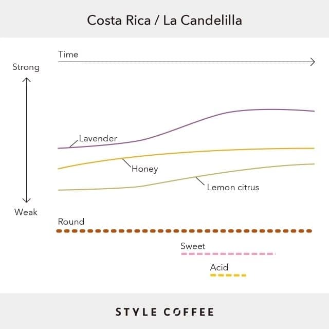 Image of Costa Rica - La Candelilla 