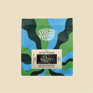 Image of Peru Hector Saavedra