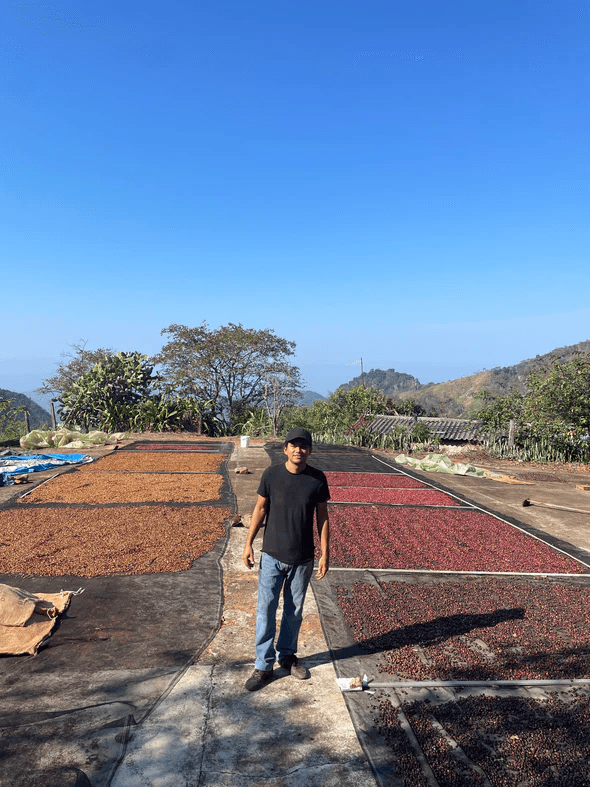 Image of Corral del Diablo - Guerrero - Honey