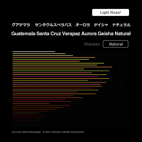 Image of Aurora Geisha Natural