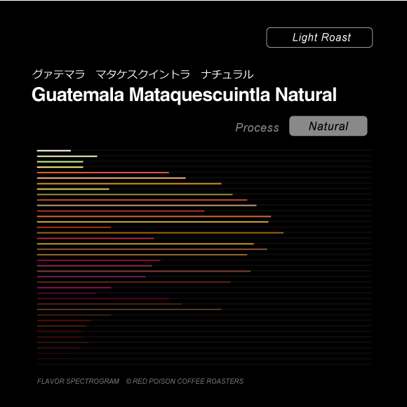 Image of Guatemala Mataquescuintla Natural