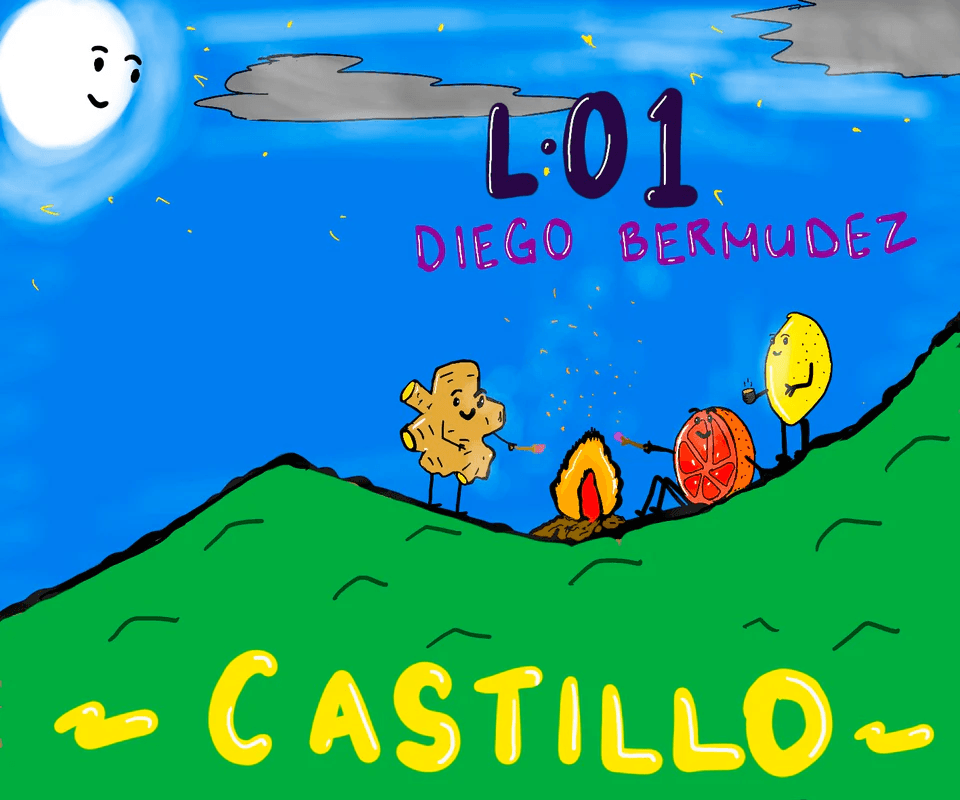 Image of Diego Bermudez - L-01 Castillo
