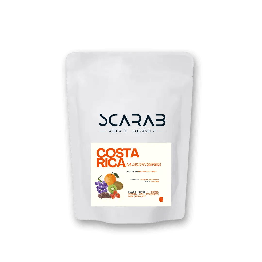 Image of Costa Rica Musician Series