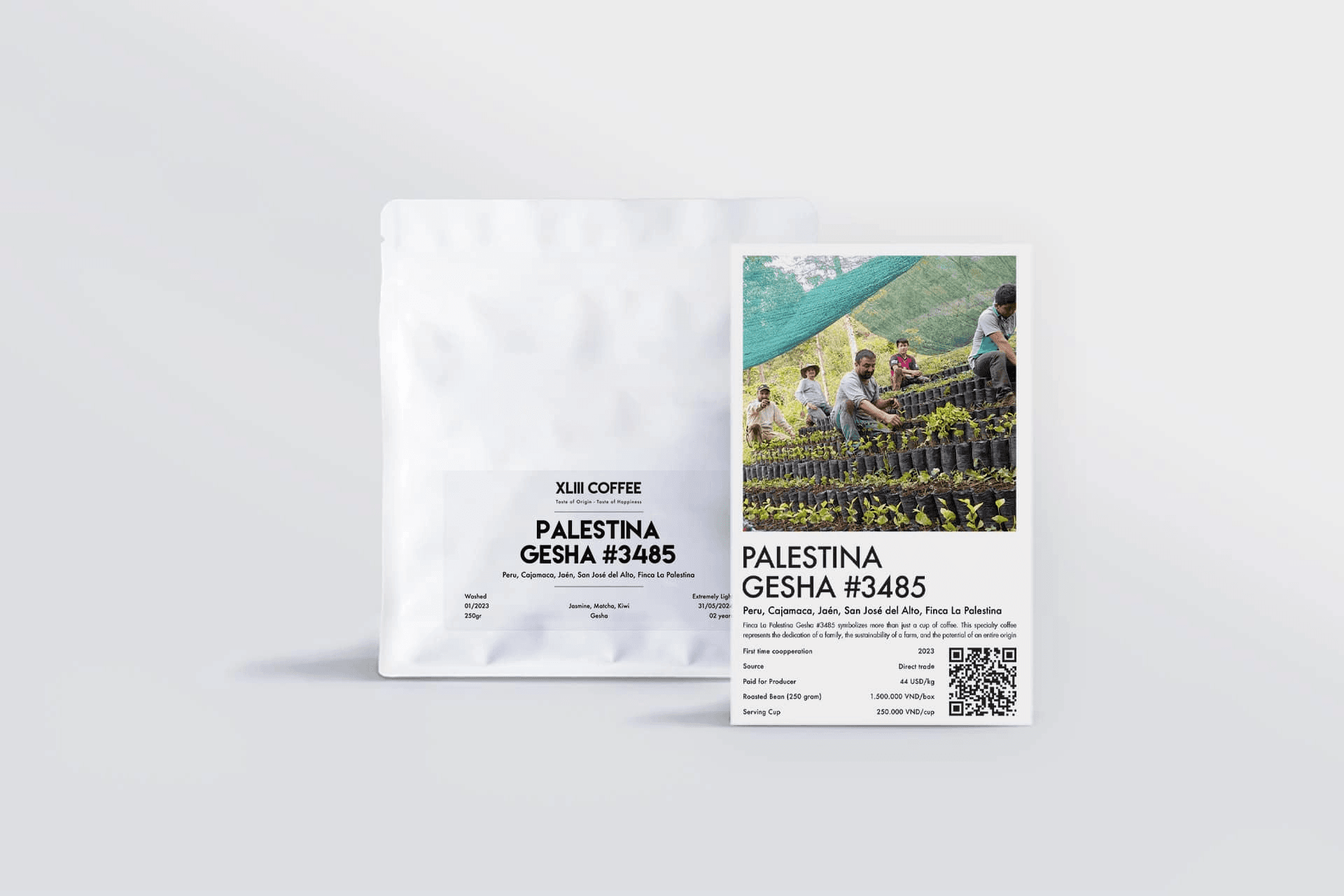 Image of Palestina Gesha 3485