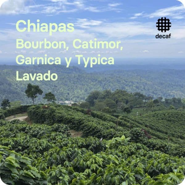 Image of Chiapas decaf Mexico