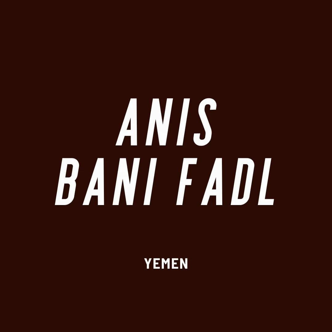 Image of Yemen Anis Bani Fadl Natural