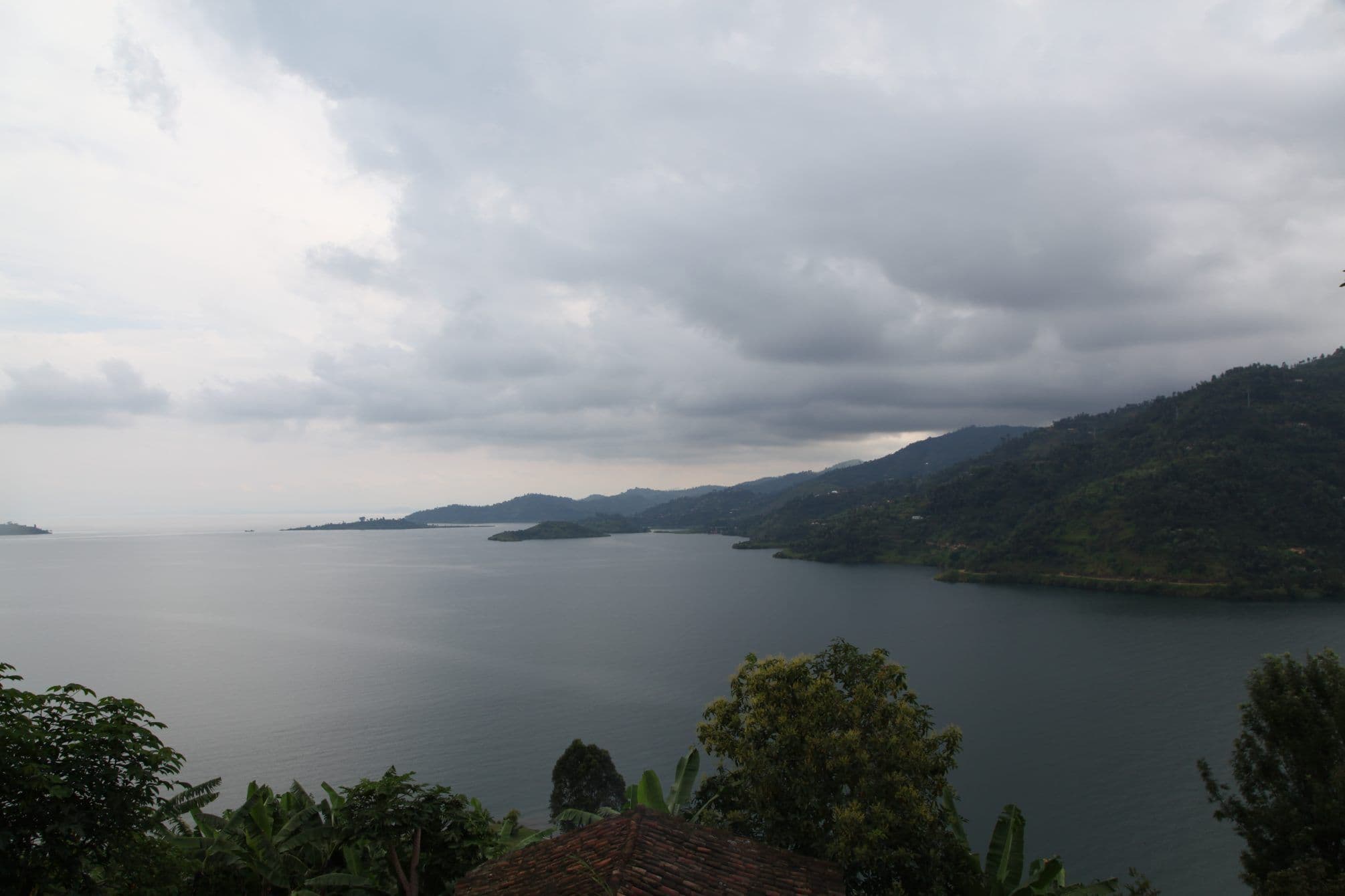 Image of Rwanda Kivu Belt