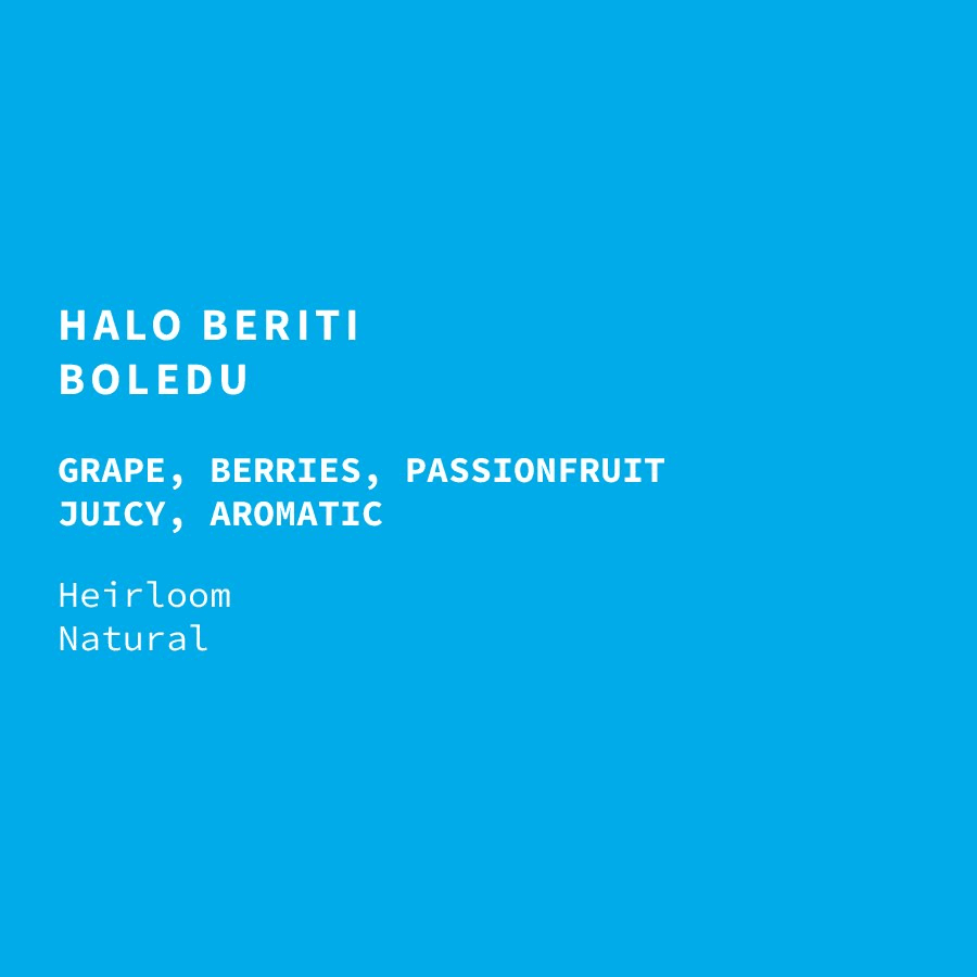 Image of Ethiopia Halo Beriti Natural