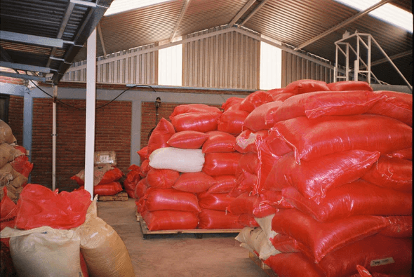 Image of Marisela Perez - Oaxaca - Washing